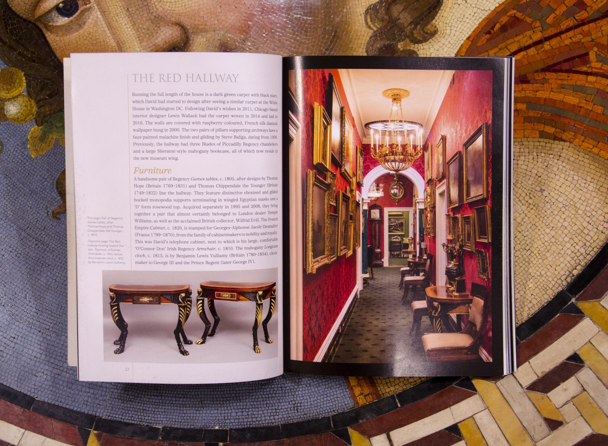 Book: The David Roche Foundation Guidebook | David Roche Gallery